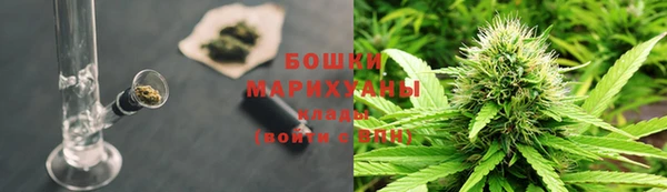 шишки Алексеевка