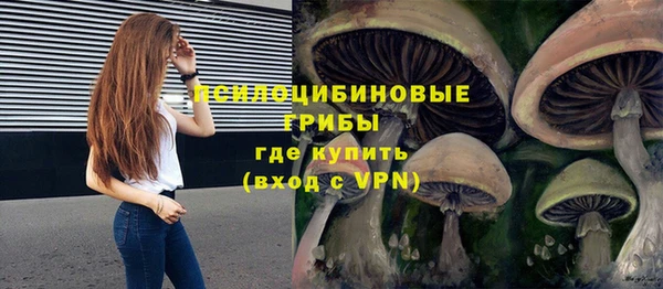 не бодяженный Алзамай