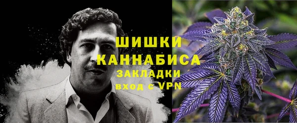 ГАЛЛЮЦИНОГЕННЫЕ ГРИБЫ Алексин